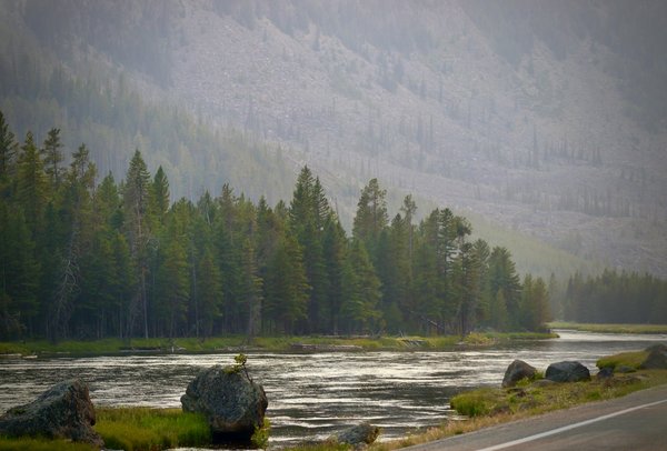 Quels sont les meilleurs sentiers pour une randonnée dans le parc national de Yellowstone, USA : saisons et conseils ?