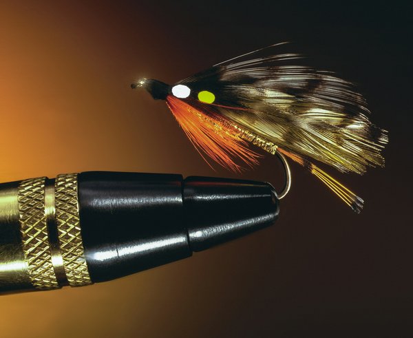 Choisir une canne à pêche pour carnassier : conseils et astuces pour les pêcheurs